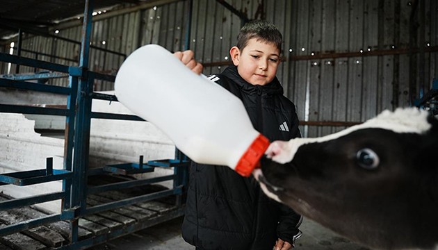 Yapay zeka destekli süt çiftliği