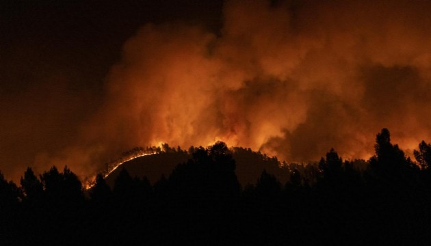 İspanya'da orman yangınları iki gündür devam ediyor