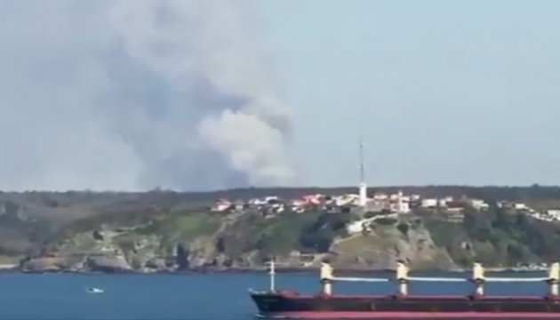 İstanbul'da orman yangını