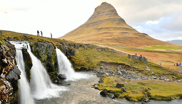 O ülkede ilk kez sivri sinek görüldü