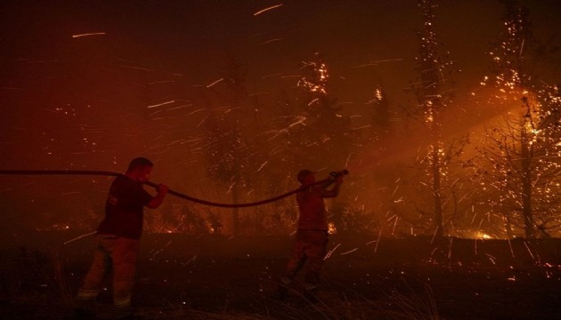 İzmir'de 2 orman yangını