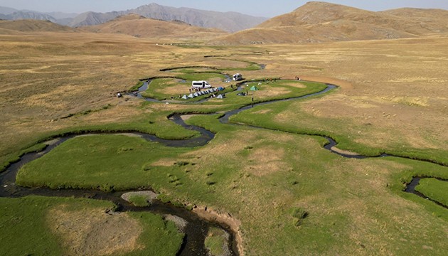 Mendereslerin arasında kamp keyfi