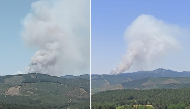 Bursa'da orman yangını