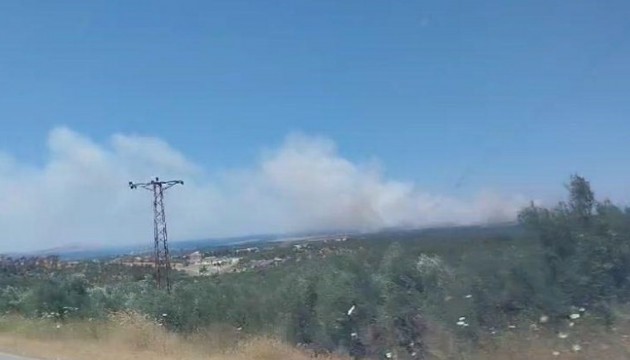 Çanakkale'de yangın: Müdahale sürüyor!