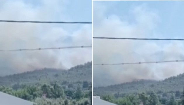Hatay'da orman yangını!