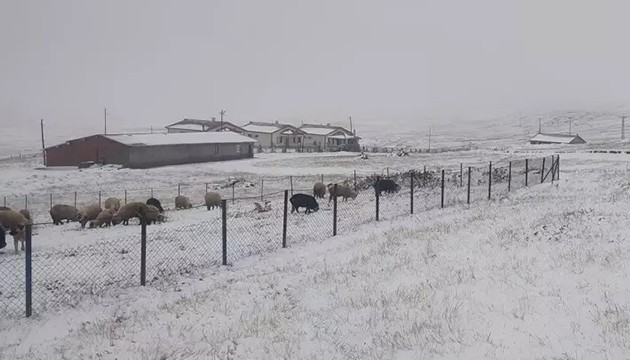 Doğu Karadeniz kara büründü