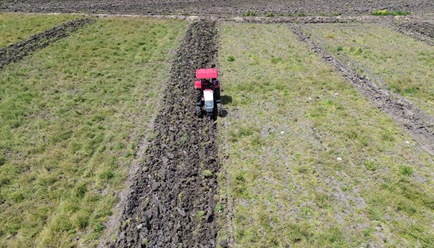 18 bin dekar alanda kavun karpuz ekimi başladı
