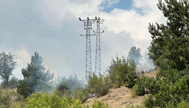 Kastamonu'da orman yangını
