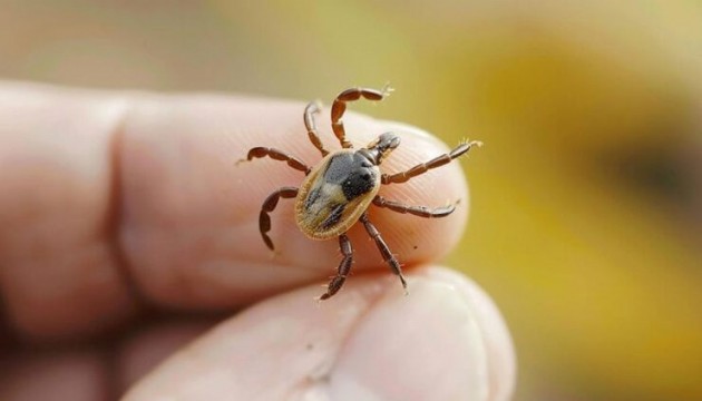 Dün iki kişi ölmüştü, can kayıpları sürüyor