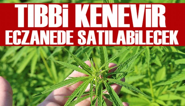 Tıbbi kenevir eczanelerde satılabilecek: Meclis'ten geçti
