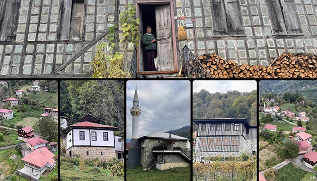 Kestane ağacından yapılan evler ilgi çekiyor