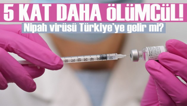 Kovid'den 5 kat daha ölümcül: Nipah virüsü Türkiye'ye gelir mi?
