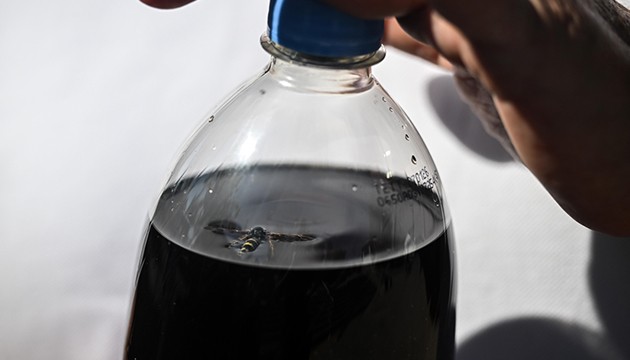 Kolasından ölü arı çıktı: Hukuki işlem başlattı