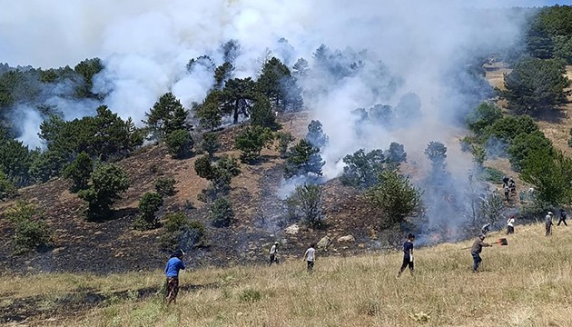 Konya'da orman yangını