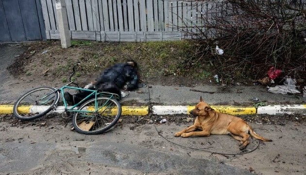 Bucha’daki sadık köpek dünyayı ayağa kaldırdı