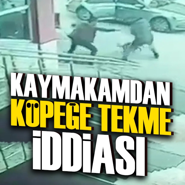 Kaymakamdan köpeğe tekme iddiası: Baba ve oğlu anlattı, suç duyurusunda bulundular