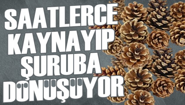 Saatlerce kaynatılan kozalak, şuruba dönüşüyor!