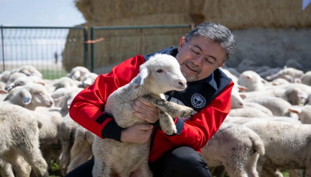 Küçükbaş desteği: Son tarih belli oldu