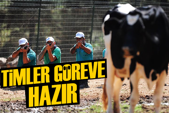 Kurban yakalama timleri göreve hazır