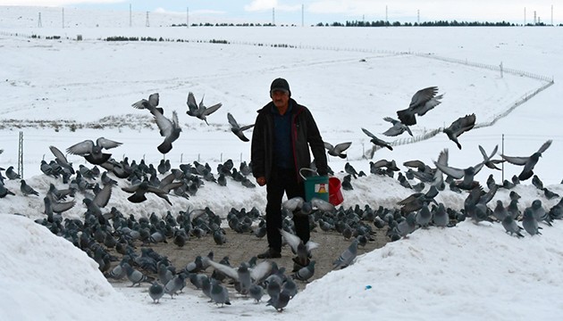 Kuşlar için her sabah kar kürüyor