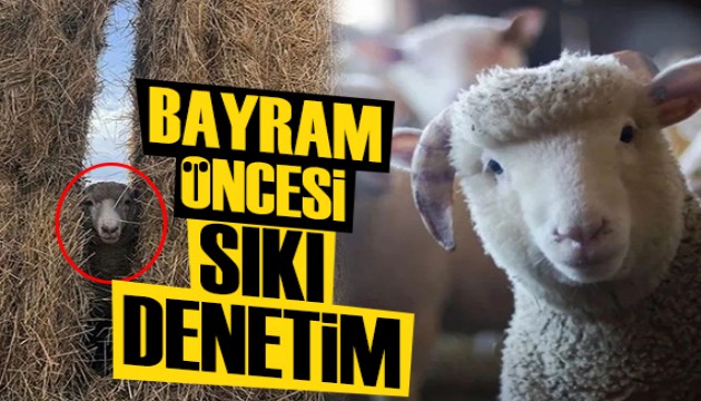 Kurban Bayramı öncesi sıkı denetim!
