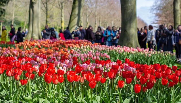 Lale günü etkinliği yapıldı