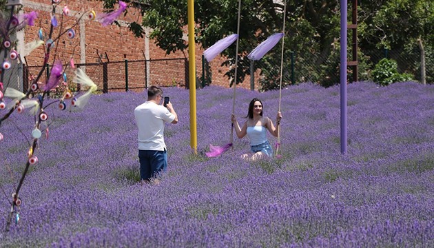 Lavanta tarlaları yoğun ilgi gördü