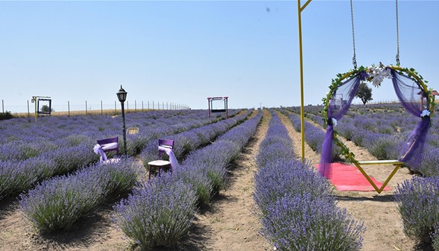 Fotoğraf tutkunları akın etti