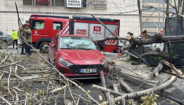 Şiddetli lodos İstanbul'u vurdu
