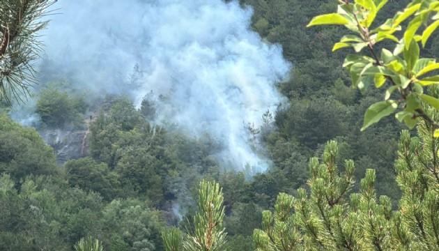 Bolu'da orman yangını