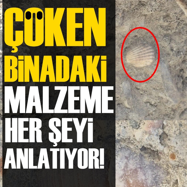 Maltepe'de çöken binanın betonundan deniz kabukları çıktı!