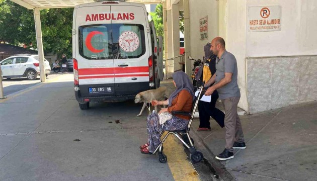 7 kişi mantar zehirlenmesi şüphesiyle hastaneye kaldırıldı