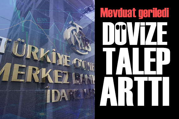 Toplam mevduat geriledi: Dövize talep devam etti