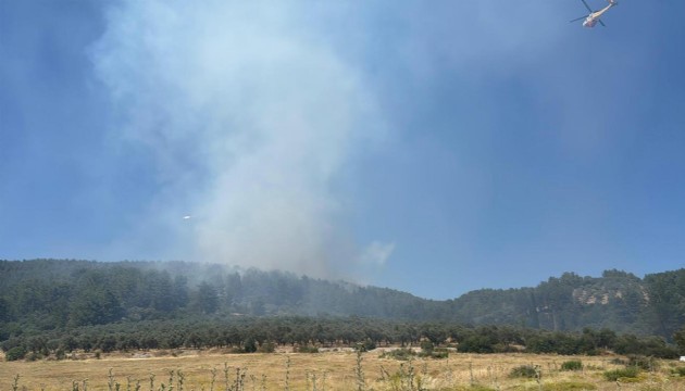 Çanakkale'de yine yangın: Kazdağları tehdit altında