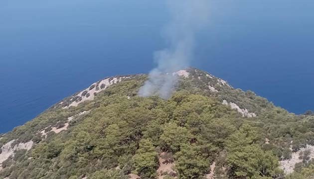 Muğla'da orman yangını