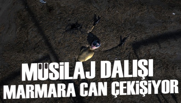 Şahika Ercümen müsilaja dikkat çekmek için daldı