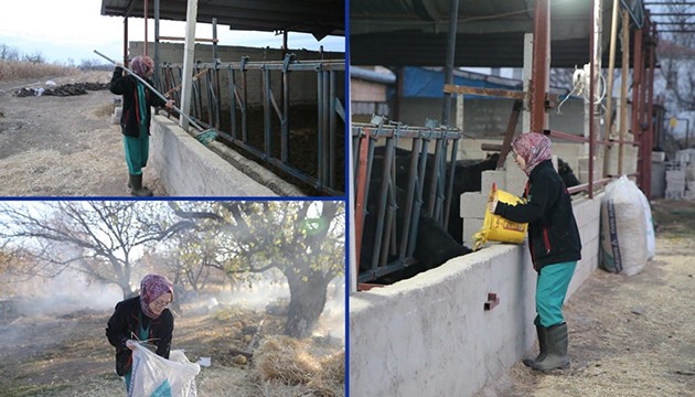 Genç veteriner hibeyle hayvancılığa başladı