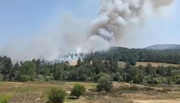 Anız yangını ormana sıçradı