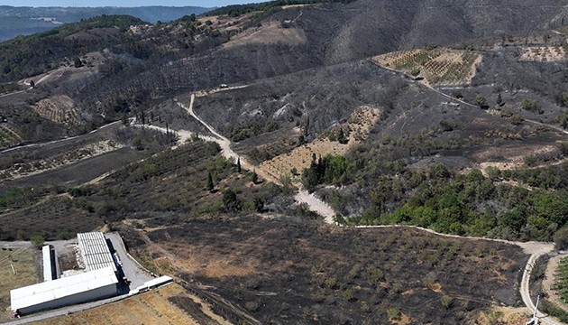Yanan alanlar havadan görüntülendi