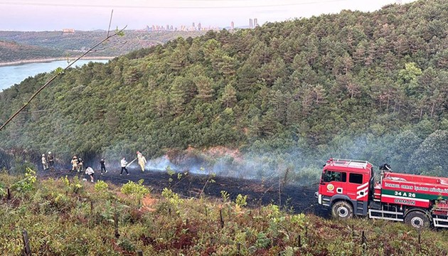 Sultangazi'de orman yangını söndürüldü