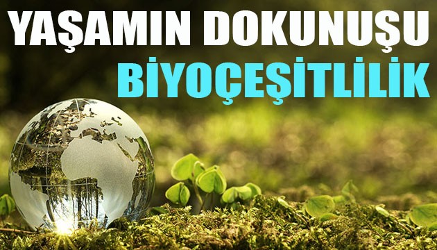 Yaşamın Dokunuşu: Biyoçeşitlilik