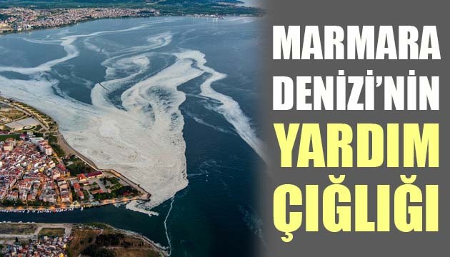 MARMARA DENİZİ'NİN YARDIM ÇIĞLIĞI