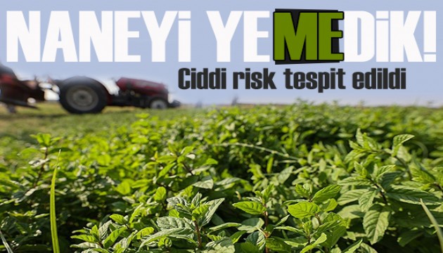 Türkiye'deki nanelerde klorpirifos alarmı!