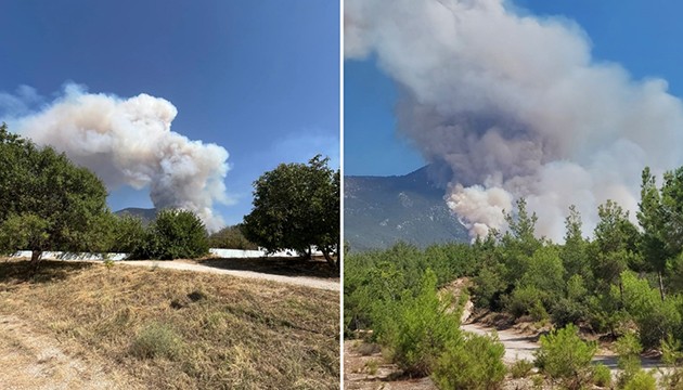 Pamukkale'de orman yangını
