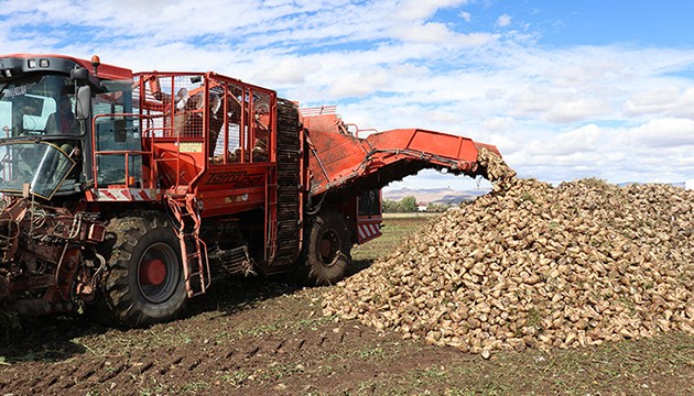 Pancar hasadı teknolojik makinelerle yapılıyor