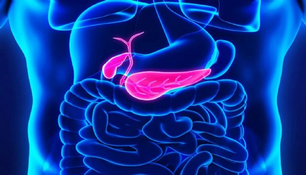 Mide kanseri oranı yüksek olan kan grupları tespit edildi