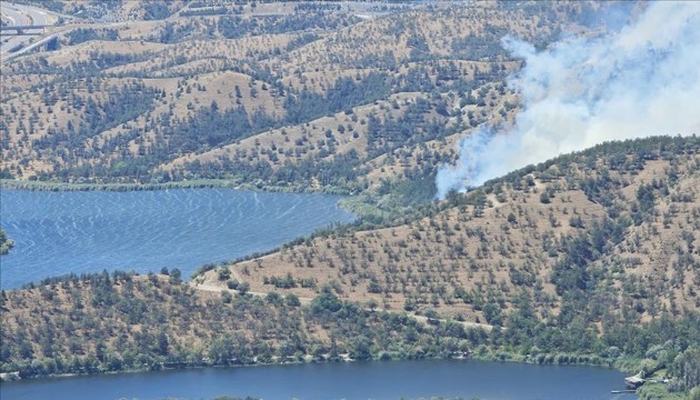 Ankara'da orman yangını