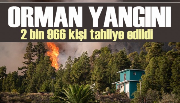 Mersin ve Hatay'da orman yangını: 2 bin 966 kişi tahliye edildi