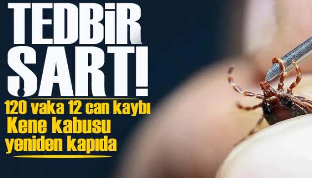 Kene kabusu yeniden kapıda! Uzmanlar uyarıyor, tedbir şart!