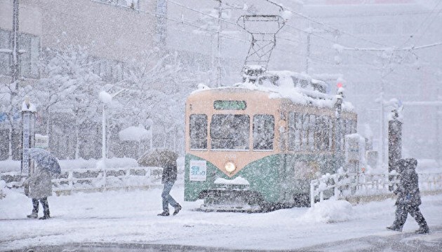 Japonya'da kar esareti